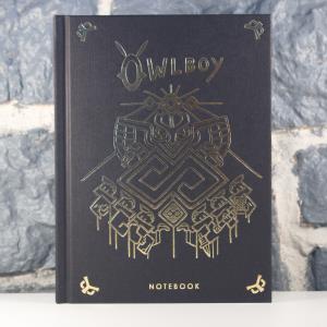 Owlboy Edition Collector (26)